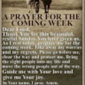 Meet your Posher, Terri